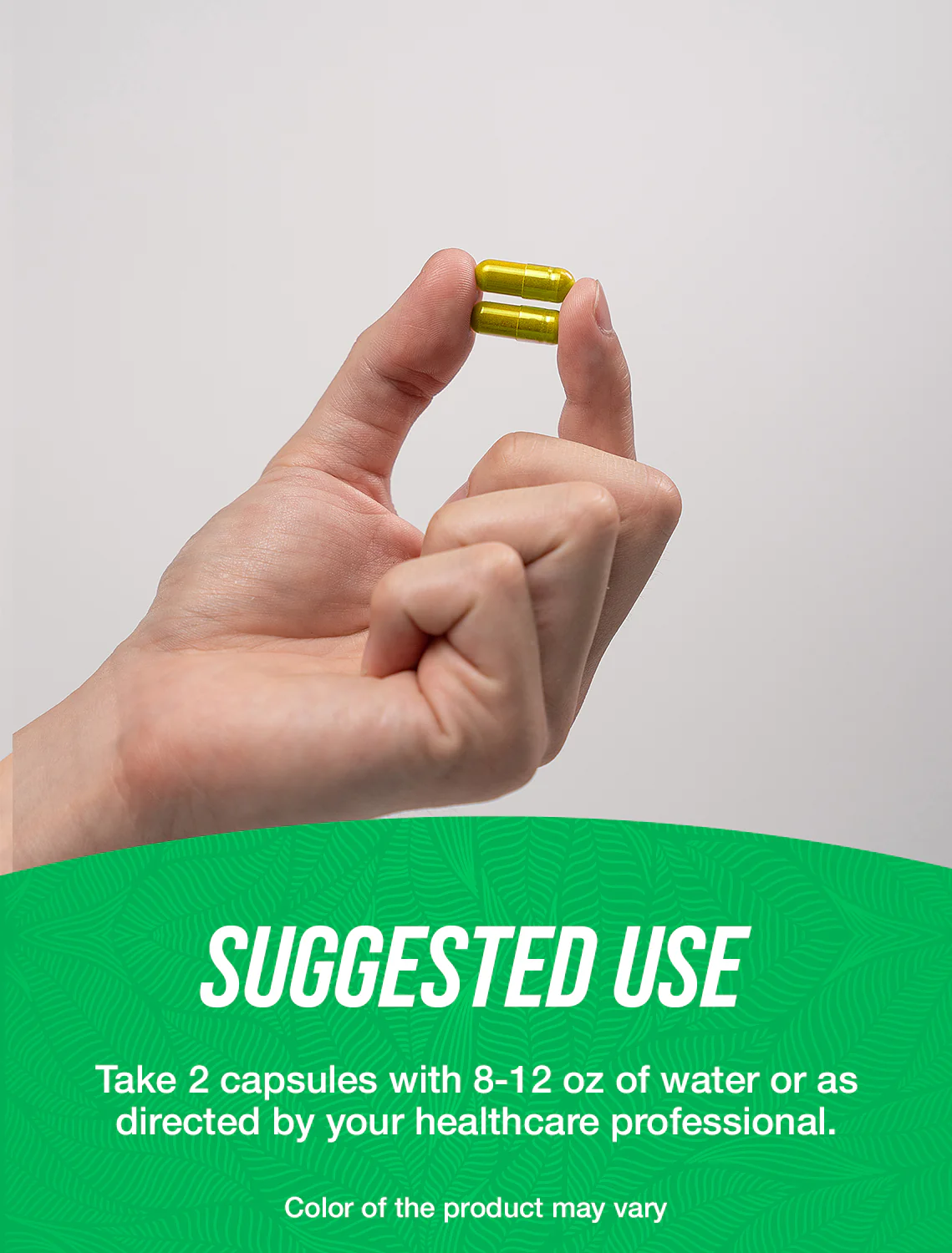 Andrographis Extract Capsules - Image 3