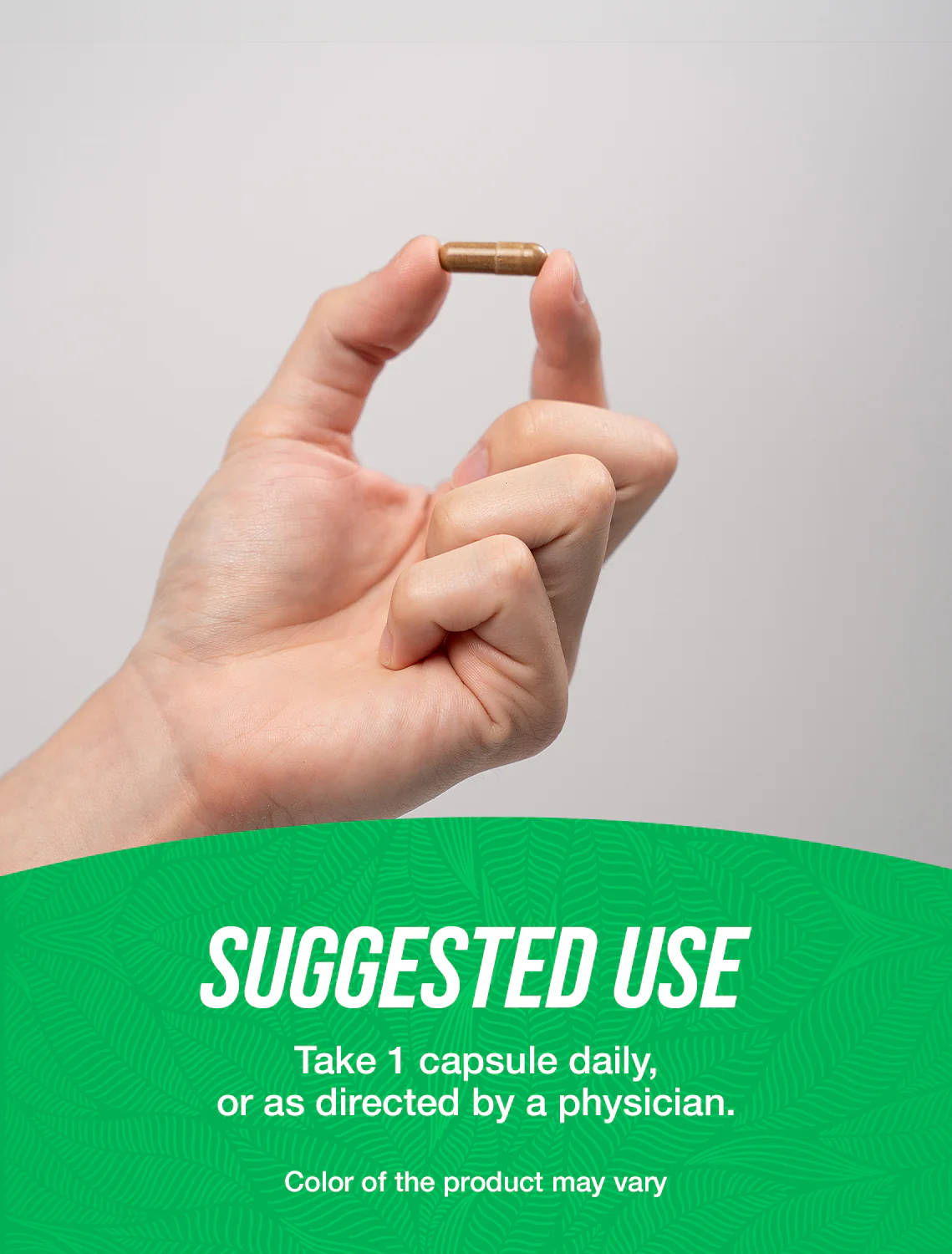 Astragalus Extract Capsules - Image 4