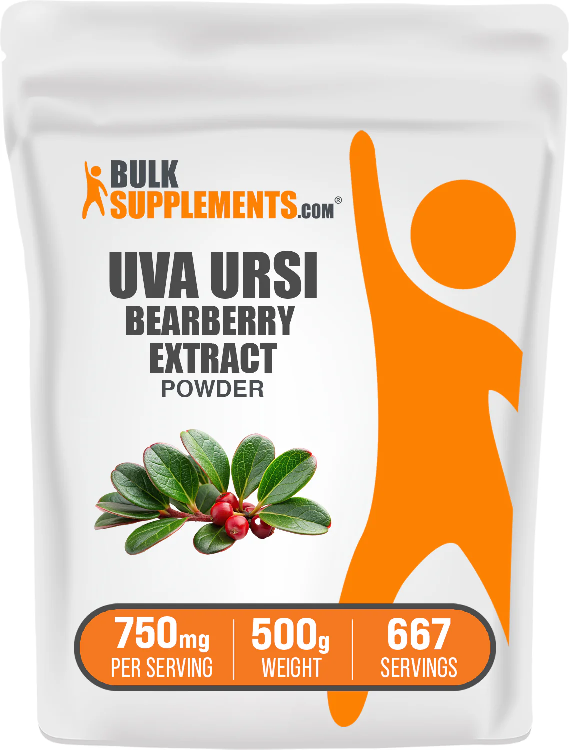 Bearberry Leaf Extract (Uva Ursi) Powder - Image 8