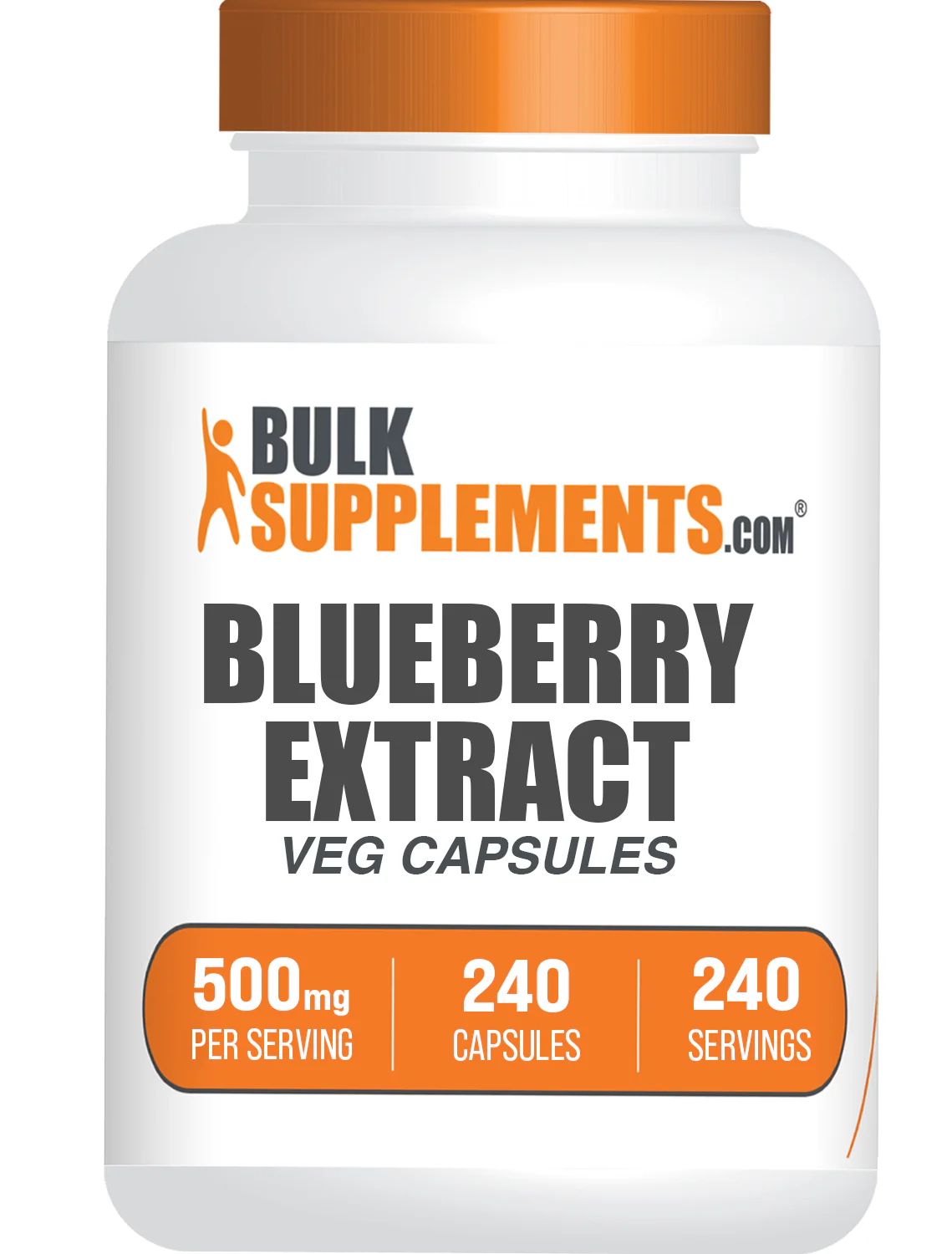 Organic Blueberry Extract Powder - Image 10