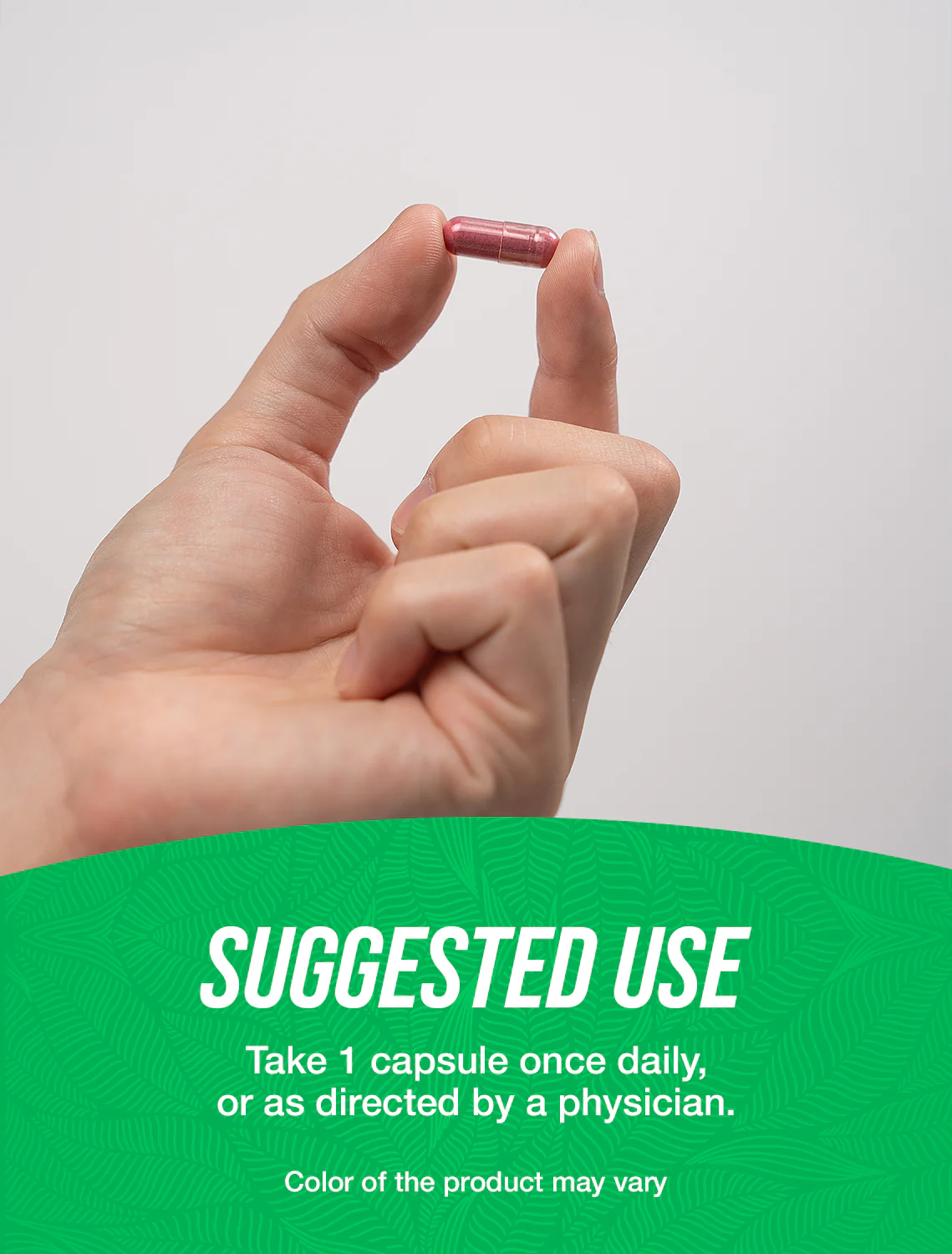 Blueberry Extract Capsules - Image 4