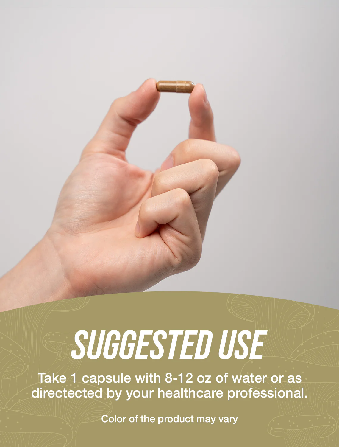 Cordyceps Extract Capsules - Image 4