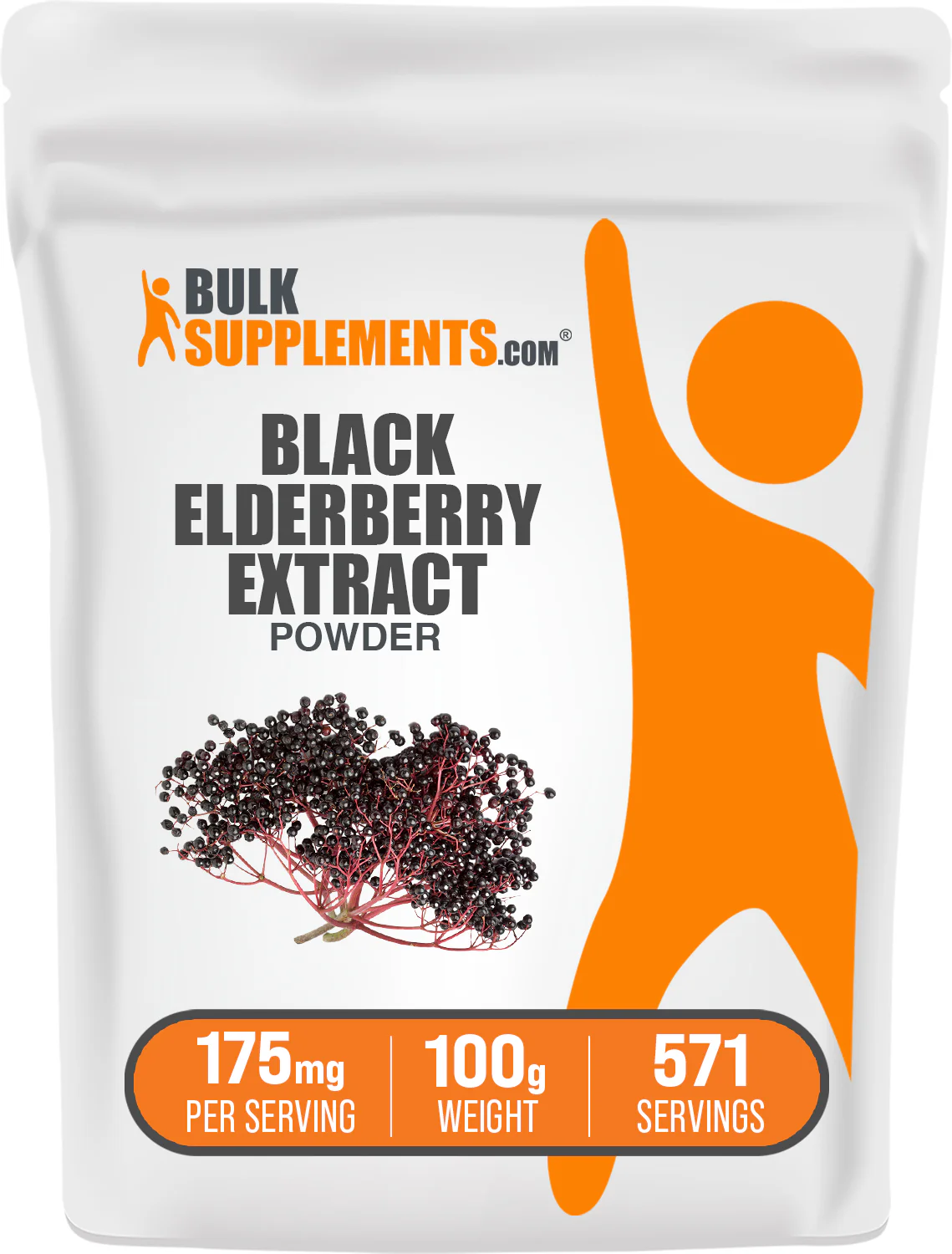 Elderberry Extract Powder - Image 10
