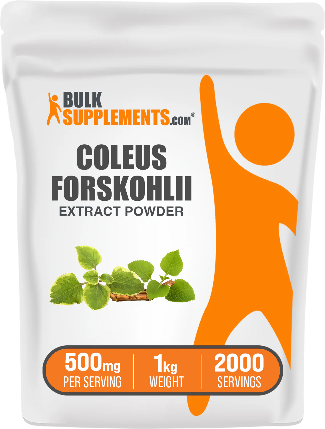 Coleus Forskohlii Extract (7.5% Forskolin) Capsules - Image 10