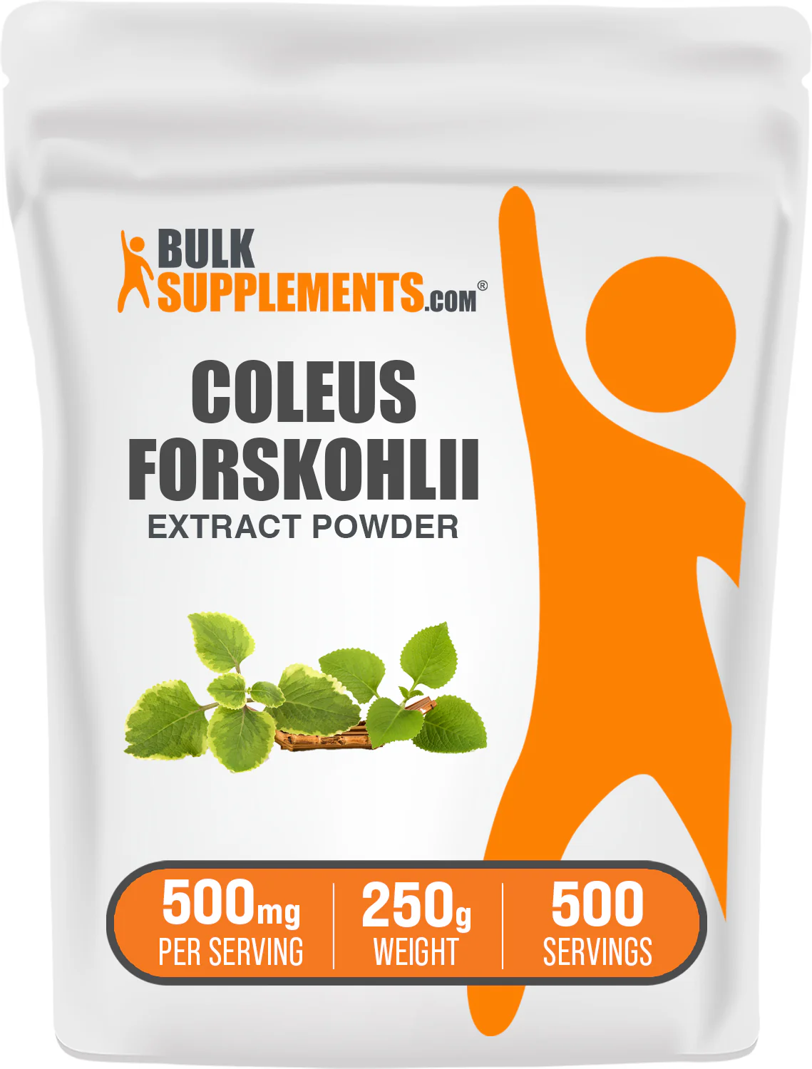 Coleus Forskohlii Extract (7.5% Forskolin) Capsules - Image 8
