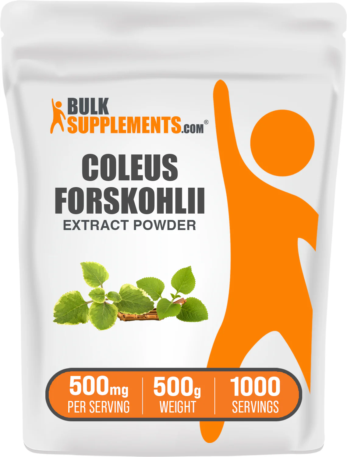 Coleus Forskohlii Extract (7.5% Forskolin) Powder - Image 9