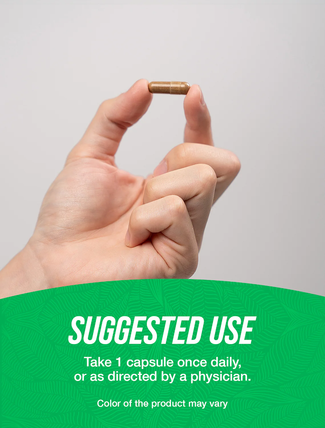 Gynostemma Extract (Jiaogulan) Capsules - Image 4