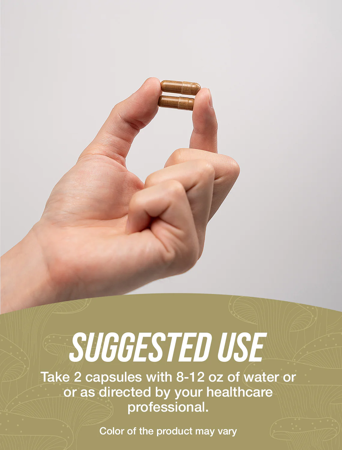Lion's Mane Mushroom Extract Capsules - Image 4