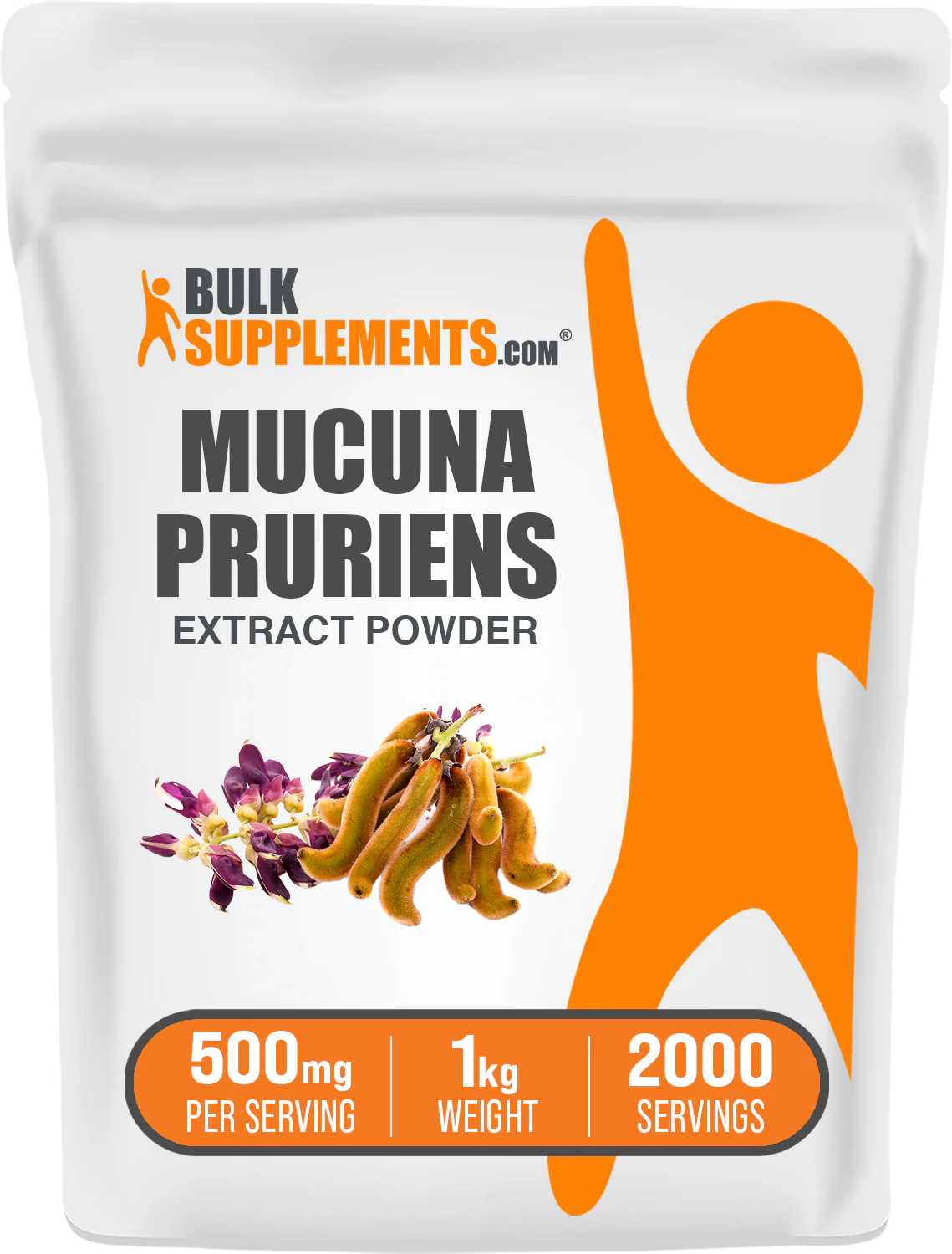 Mucuna Pruriens Extract Powder - Image 9
