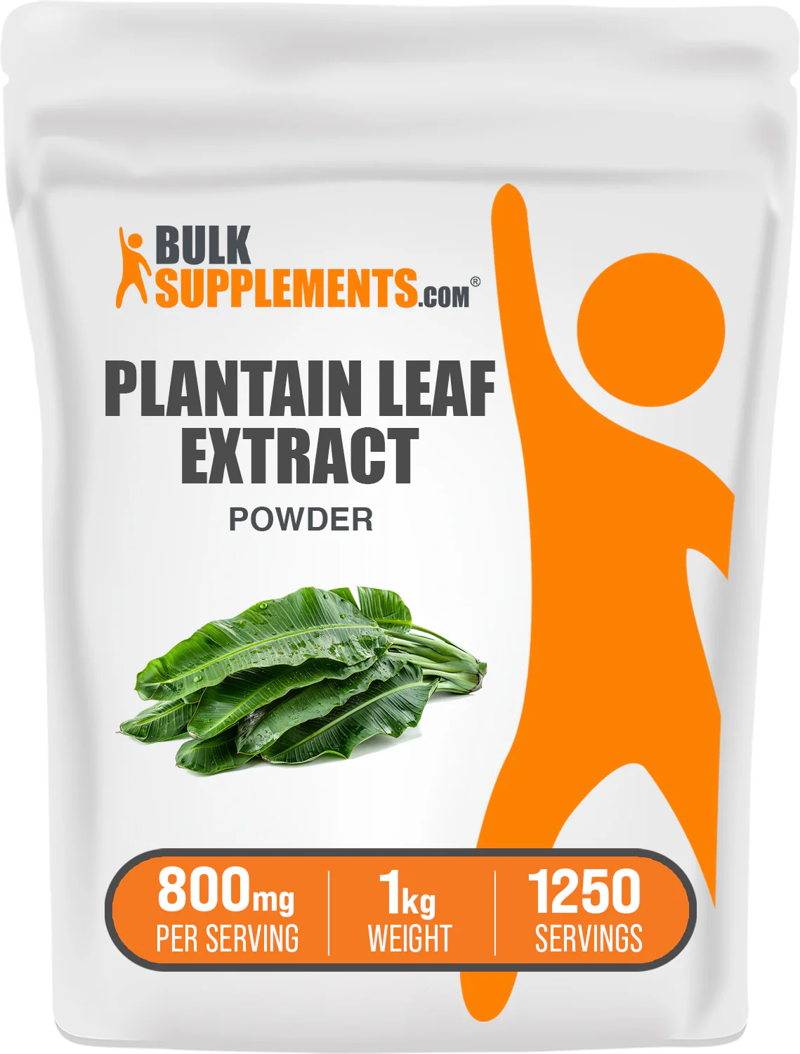 Plantain Extract Powder - Image 9