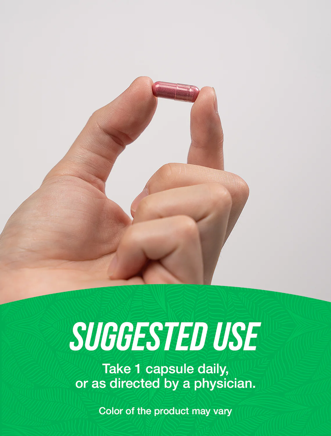 Red Yeast Rice Extract Capsules - Image 4