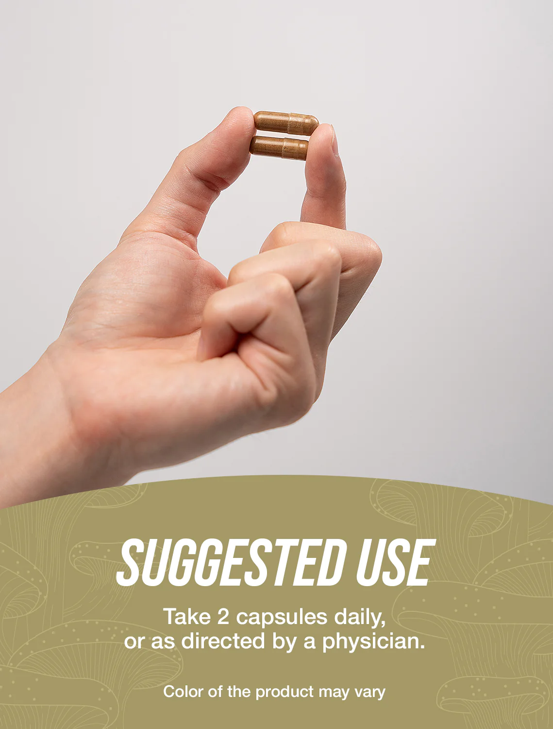 Reishi Mushroom Extract Capsules - Image 4