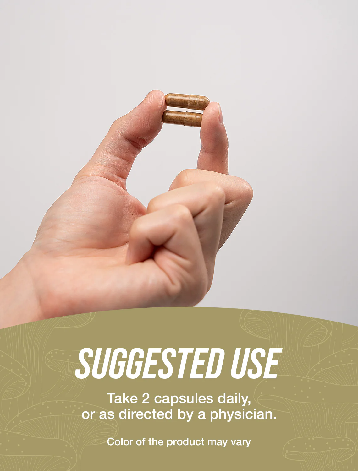 Turkey Tail Mushroom Capsules - Image 4